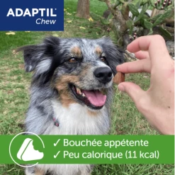 CEVA Adaptil Chew -Pet Soin adaptil chew 2