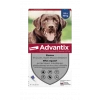 ELANCO Advantix Grand Chien De 25 à 40 Kg