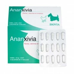 ISOVIA Ananxivia Chat/Petit Chien