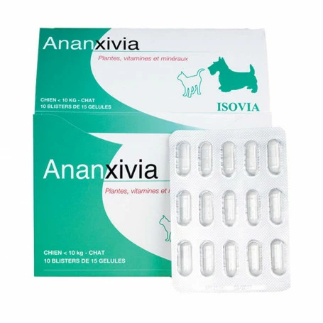 ISOVIA Ananxivia Chat/Petit Chien 1 ISOVIA Ananxivia Chat/Petit Chien