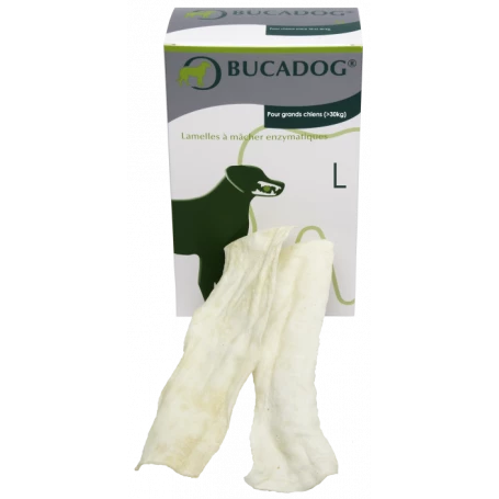 OSALIA Bucadog Lamelles 1 OSALIA Bucadog Lamelles