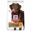HILL'S Pet Nutrition Canine Adult Large Healthy Mobility