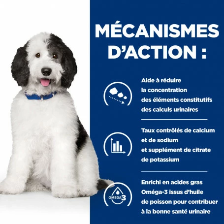 HILL'S Pet Nutrition C/D Urinary Multicare Croquettes Pour Chien Au Poulet 5 HILL'S Pet Nutrition C/D Urinary Multicare Croquettes Pour Chien Au Poulet – Image 5