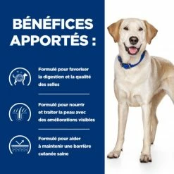 HILL'S Pet Nutrition D/D Food Sensitivities Croquettes Pour Chien Au Canard & Riz 12 HILL'S Pet Nutrition D/D Food Sensitivities Croquettes Pour Chien Au Canard & Riz -Pet Soin canine d d canard riz 3