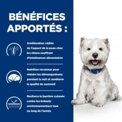 HILL'S Pet Nutrition Derm Complete Mini Croquettes Pour Petit Chien 10 HILL'S Pet Nutrition Derm Complete Mini Croquettes Pour Petit Chien -Pet Soin canine derm complete mini 2