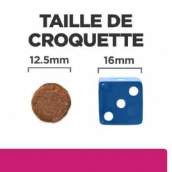 HILL'S Pet Nutrition Gastrointestinal Biome Croquettes Pour Chien Au Poulet -Pet Soin canine gastrointestinal biome poulet 5