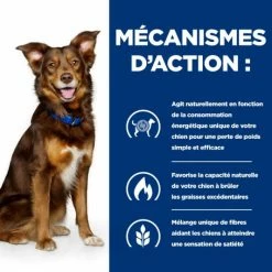 HILL'S Pet Nutrition Metabolic Croquettes Pour Chien Au Poulet -Pet Soin canine metabolic 4