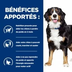 HILL'S Pet Nutrition J/D Metabolic+Mobility Croquettes Pour Chien Au Poulet -Pet Soin canine metabolicmobility 3