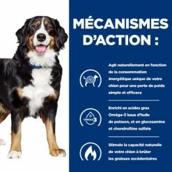 HILL'S Pet Nutrition J/D Metabolic+Mobility Croquettes Pour Chien Au Poulet -Pet Soin canine metabolicmobility 4