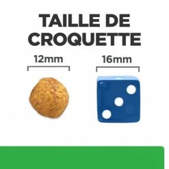 HILL'S Pet Nutrition R/D Weight Loss Croquettes Pour Chien Au Poulet -Pet Soin canine r d poulet 4
