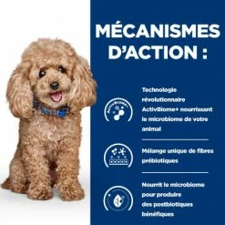 HILL'S Pet Nutrition Gastrointestinal Biome Mini Croquettes Pour Petit Chien Au Poulet 12 HILL'S Pet Nutrition Gastrointestinal Biome Mini Croquettes Pour Petit Chien Au Poulet -Pet Soin chien gastrointestinal biome mini poulet 4