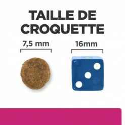 HILL'S Pet Nutrition Gastrointestinal Biome Mini Croquettes Pour Petit Chien Au Poulet 13 HILL'S Pet Nutrition Gastrointestinal Biome Mini Croquettes Pour Petit Chien Au Poulet -Pet Soin chien gastrointestinal biome mini poulet 5