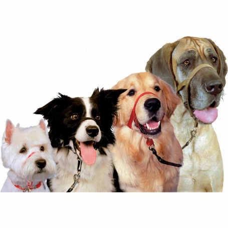 Materiel Collier De Contrôle Halti 1 Materiel Collier De Contrôle Halti