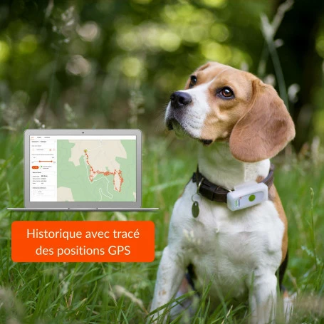 Materiel Collier GPS Weenect Dogs 2 Pour Chien 9 Materiel Collier GPS Weenect Dogs 2 Pour Chien – Image 9