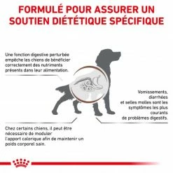 ROYAL CANIN Dog Gastro Intestinal Moderate Calorie 8 ROYAL CANIN Dog Gastro Intestinal Moderate Calorie -Pet Soin dog gastro intestinal moderate calorie 1
