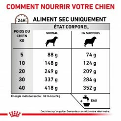ROYAL CANIN Dog Gastro Intestinal Moderate Calorie 10 ROYAL CANIN Dog Gastro Intestinal Moderate Calorie -Pet Soin dog gastro intestinal moderate calorie 3
