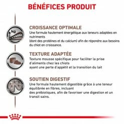 ROYAL CANIN Dog Gastro Intestinal Puppy Boîte -Pet Soin dog gastro intestinal puppy boite 1