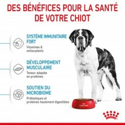 ROYAL CANIN Dog Junior Giant 11 ROYAL CANIN Dog Junior Giant -Pet Soin dog junior giant 3