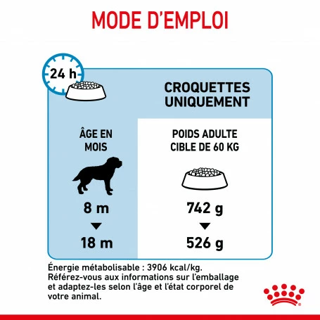 ROYAL CANIN Dog Junior Giant 6 ROYAL CANIN Dog Junior Giant – Image 6