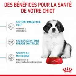 ROYAL CANIN Dog Puppy Giant 12 ROYAL CANIN Dog Puppy Giant -Pet Soin dog puppy giant 4