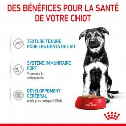 ROYAL CANIN Dog Puppy Maxi Sachet Repas 13 ROYAL CANIN Dog Puppy Maxi Sachet Repas -Pet Soin dog puppy maxi sachet repas 4