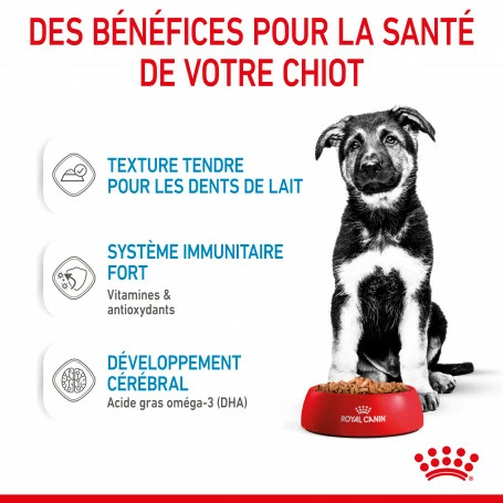 ROYAL CANIN Dog Puppy Maxi Sachet Repas 5 ROYAL CANIN Dog Puppy Maxi Sachet Repas – Image 5