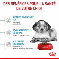 ROYAL CANIN Dog Puppy Medium -Pet Soin dog puppy medium 4