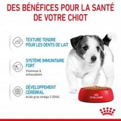 ROYAL CANIN Dog Puppy Mini Sachet Repas -Pet Soin dog puppy mini sachet repas 4
