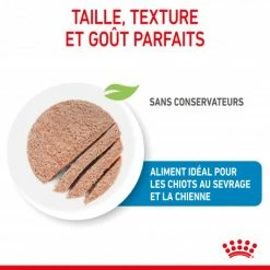 ROYAL CANIN Dog Starter Mother & Babydog Mousse Boîte -Pet Soin dog starter mother babycat mousse boite 2