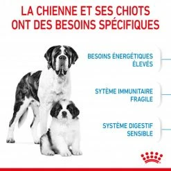 ROYAL CANIN Dog Starter Mother & Babydog Giant 11 ROYAL CANIN Dog Starter Mother & Babydog Giant -Pet Soin dog starter mother babydog giant 3