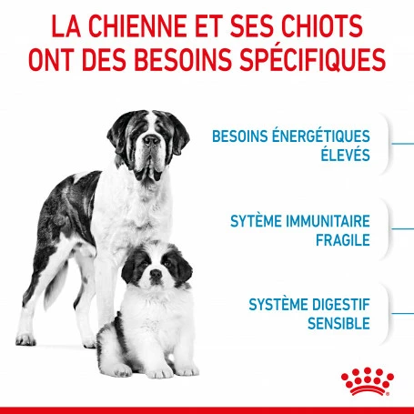 ROYAL CANIN Dog Starter Mother & Babydog Giant 4 ROYAL CANIN Dog Starter Mother & Babydog Giant – Image 4