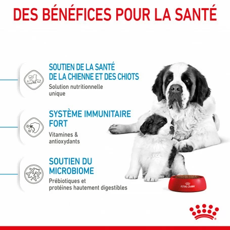 ROYAL CANIN Dog Starter Mother & Babydog Giant 5 ROYAL CANIN Dog Starter Mother & Babydog Giant – Image 5