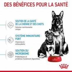 ROYAL CANIN Dog Starter Mother & Babydog Maxi -Pet Soin dog starter mother babydog maxi 4