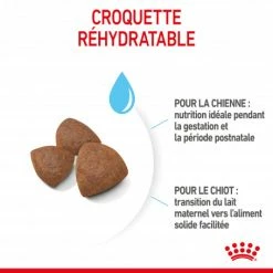 ROYAL CANIN Dog Starter Mother & Babydog Medium 10 ROYAL CANIN Dog Starter Mother & Babydog Medium -Pet Soin dog starter mother babydog medium 2