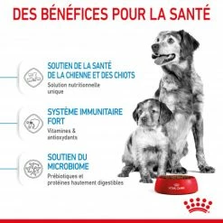 ROYAL CANIN Dog Starter Mother & Babydog Medium 12 ROYAL CANIN Dog Starter Mother & Babydog Medium -Pet Soin dog starter mother babydog medium 4