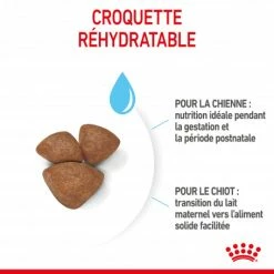 ROYAL CANIN Dog Starter Mother & Babydog Mini 10 ROYAL CANIN Dog Starter Mother & Babydog Mini -Pet Soin dog starter mother babydog mini 2