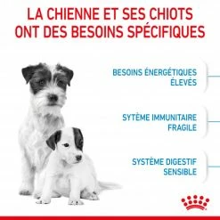 ROYAL CANIN Dog Starter Mother & Babydog Mini 11 ROYAL CANIN Dog Starter Mother & Babydog Mini -Pet Soin dog starter mother babydog mini 3