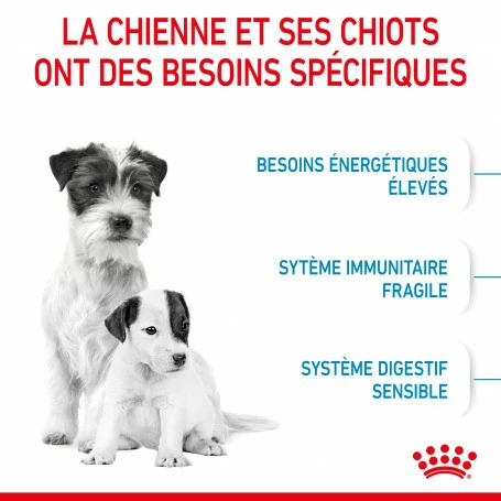 ROYAL CANIN Dog Starter Mother & Babydog Mini 4 ROYAL CANIN Dog Starter Mother & Babydog Mini – Image 4