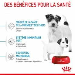 ROYAL CANIN Dog Starter Mother & Babydog Mini 12 ROYAL CANIN Dog Starter Mother & Babydog Mini -Pet Soin dog starter mother babydog mini 4