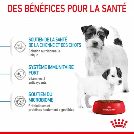 ROYAL CANIN Dog Starter Mother & Babydog Mini 5 ROYAL CANIN Dog Starter Mother & Babydog Mini – Image 5