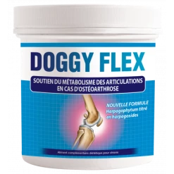 AUDEVARD SA Doggy Flex