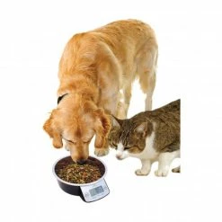 Materiel Gamelle Intelligente Pet Bowl
