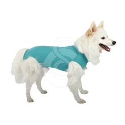 Materiel Gilet DogBody VetMedCare Pour Chien