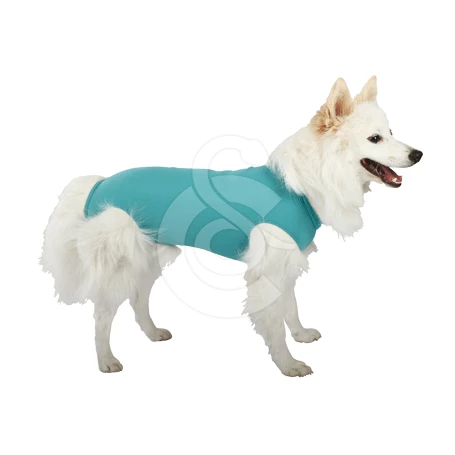 Materiel Gilet DogBody VetMedCare Pour Chien 1 Materiel Gilet DogBody VetMedCare Pour Chien