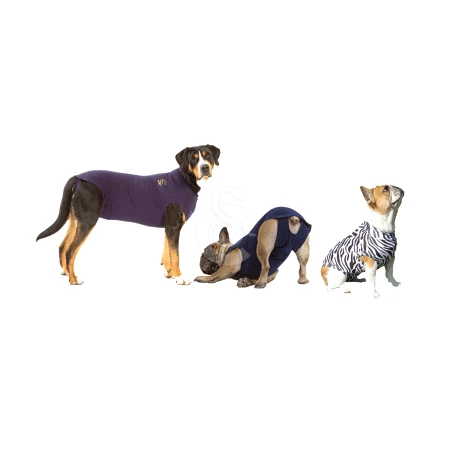 Materiel Gilet Pet Shirt Pour Chien - 4XS - Lg : 19-30 Cm - (Petit Chihuahua...) (Bleu Marine) 13 Materiel Gilet Pet Shirt Pour Chien - 4XS - Lg : 19-30 Cm - (Petit Chihuahua...) (Bleu Marine) – Image 13