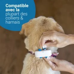 Materiel GPS Tractive Dog 4 Pour Chien -Pet Soin gps tractive dog 4 pour chien 5