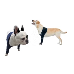 Materiel Manche Antérieure Double Pet Shirt Pour Chien - 3XS - Lg : 11 Cm - Tour De Poitrail : 27 - 33 Cm (Bleu) 10 Materiel Manche Antérieure Double Pet Shirt Pour Chien - 3XS - Lg : 11 Cm - Tour De Poitrail : 27 - 33 Cm (Bleu) -Pet Soin manche anterieure double pet shirt pour chien 3xs lg 11 cm tour de poitrail 27 33 cm bleu 2