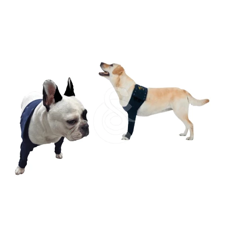 Materiel Manche Antérieure Double Pet Shirt Pour Chien - 3XS - Lg : 11 Cm - Tour De Poitrail : 27 - 33 Cm (Bleu) 3 Materiel Manche Antérieure Double Pet Shirt Pour Chien - 3XS - Lg : 11 Cm - Tour De Poitrail : 27 - 33 Cm (Bleu) – Image 3
