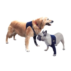 Materiel Manche Antérieure Pet Shirt Pour Chien - 2XS - Lg : 12 Cm - Tour De Poitrail : 30 à 43 Cm 11 Materiel Manche Antérieure Pet Shirt Pour Chien - 2XS - Lg : 12 Cm - Tour De Poitrail : 30 à 43 Cm -Pet Soin manche anterieure pet shirt pour chien 2xs lg 12 cm tour de poitrail 30 a 43 cm 3