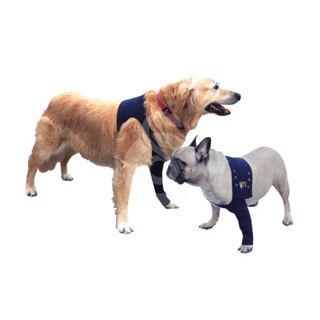 Materiel Manche Antérieure Pet Shirt Pour Chien - 2XS - Lg : 12 Cm - Tour De Poitrail : 30 à 43 Cm 7 Materiel Manche Antérieure Pet Shirt Pour Chien - 2XS - Lg : 12 Cm - Tour De Poitrail : 30 à 43 Cm – Image 7